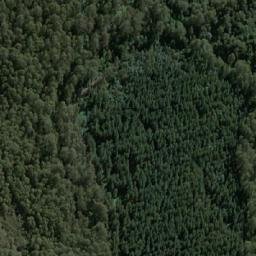 Satellite imagery of Pine Hill, AU