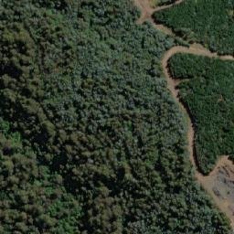 Satellite imagery of Maynes Hill, AU