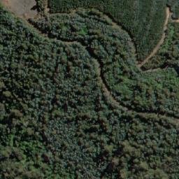 Satellite imagery of Maynes Hill, AU