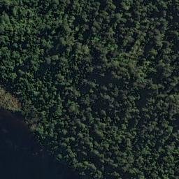 Satellite imagery of Picnic Point, NZ