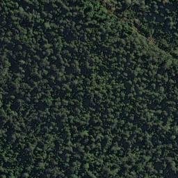 Satellite imagery of Picnic Point, NZ