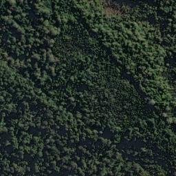 Satellite imagery of Picnic Point, NZ
