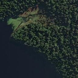 Satellite imagery of Picnic Point, NZ