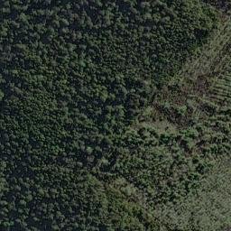 Satellite imagery of Picnic Point, NZ
