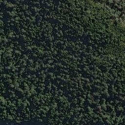 Satellite imagery of Picnic Point, NZ