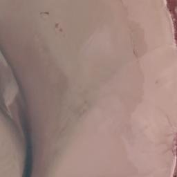 Satellite imagery of Shell Fish Point, AU