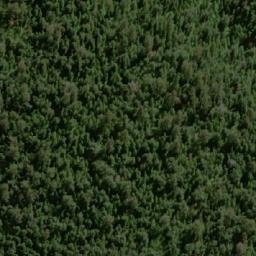 Satellite imagery of The Tree, AU