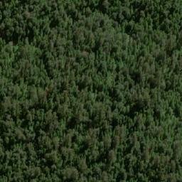 Satellite imagery of The Tree, AU