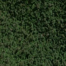 Satellite imagery of The Tree, AU