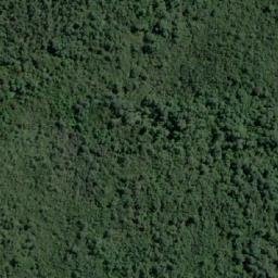 Satellite imagery of Cerro Vilcún, CL