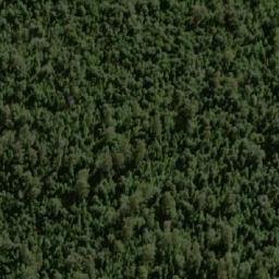Satellite imagery of The Tree, AU