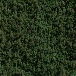 Satellite imagery of The Tree, AU
