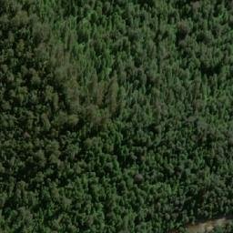 Satellite imagery of The Tree, AU