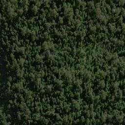 Satellite imagery of The Tree, AU