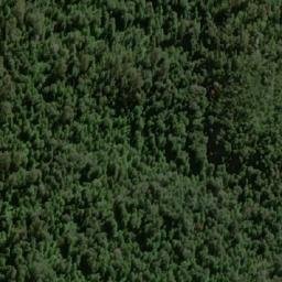 Satellite imagery of The Tree, AU