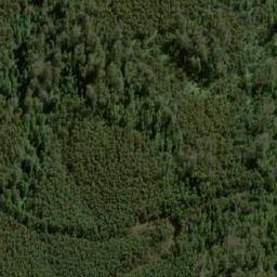 Satellite imagery of Pluto Bluff, AU