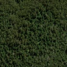 Satellite imagery of Pluto Bluff, AU