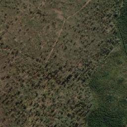 Satellite imagery of Bedding Hill, AU