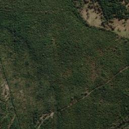Satellite imagery of Bedding Hill, AU