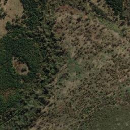 Satellite imagery of Bedding Hill, AU