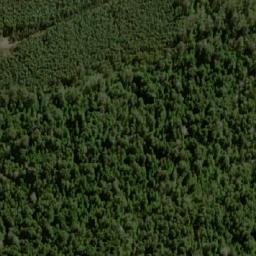 Satellite imagery of Pluto Bluff, AU