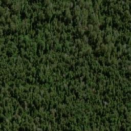 Satellite imagery of Pluto Bluff, AU