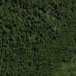 Satellite imagery of Pluto Bluff, AU