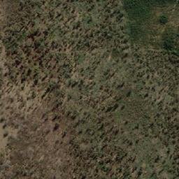Satellite imagery of Bedding Hill, AU