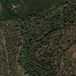 Satellite imagery of Bedding Hill, AU