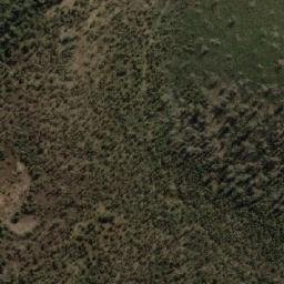 Satellite imagery of Bedding Hill, AU