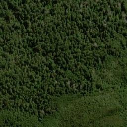 Satellite imagery of Pluto Bluff, AU