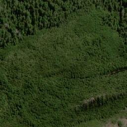 Satellite imagery of Pluto Bluff, AU