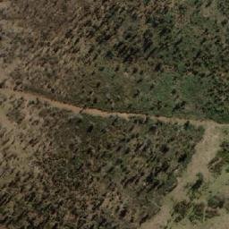Satellite imagery of Bedding Hill, AU