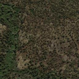 Satellite imagery of Bedding Hill, AU