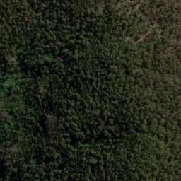 Satellite imagery of Gumtop, AU