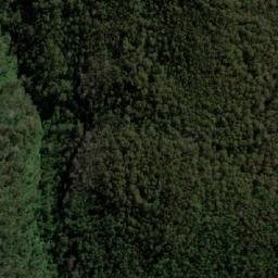 Satellite imagery of Gumtop, AU