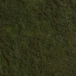 Satellite imagery of The Slips, AU