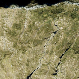 Satellite imagery of Goldney Ridge, NZ