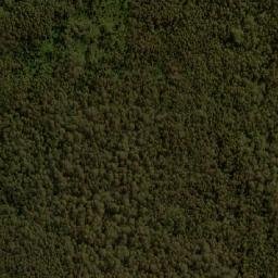 Satellite imagery of Mount Patrick, AU