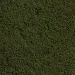 Satellite imagery of The Slips, AU