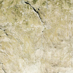 Satellite imagery of Goldney Ridge, NZ