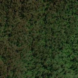 Satellite imagery of Buzzietop, AU