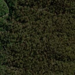 Satellite imagery of Buzzietop, AU