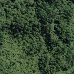 Satellite imagery of Malfroy Spur, NZ