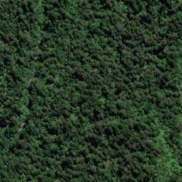 Satellite imagery of Hamilton Ridge, NZ