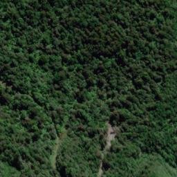 Satellite imagery of Hinau Spur, NZ