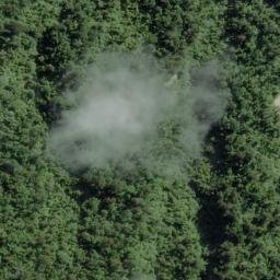Satellite imagery of Caulfield Spur, NZ