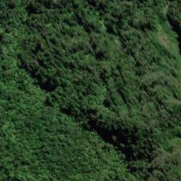 Satellite imagery of Hamilton Ridge, NZ