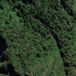 Satellite imagery of Hinau Spur, NZ