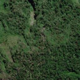 Satellite imagery of Hinau Spur, NZ